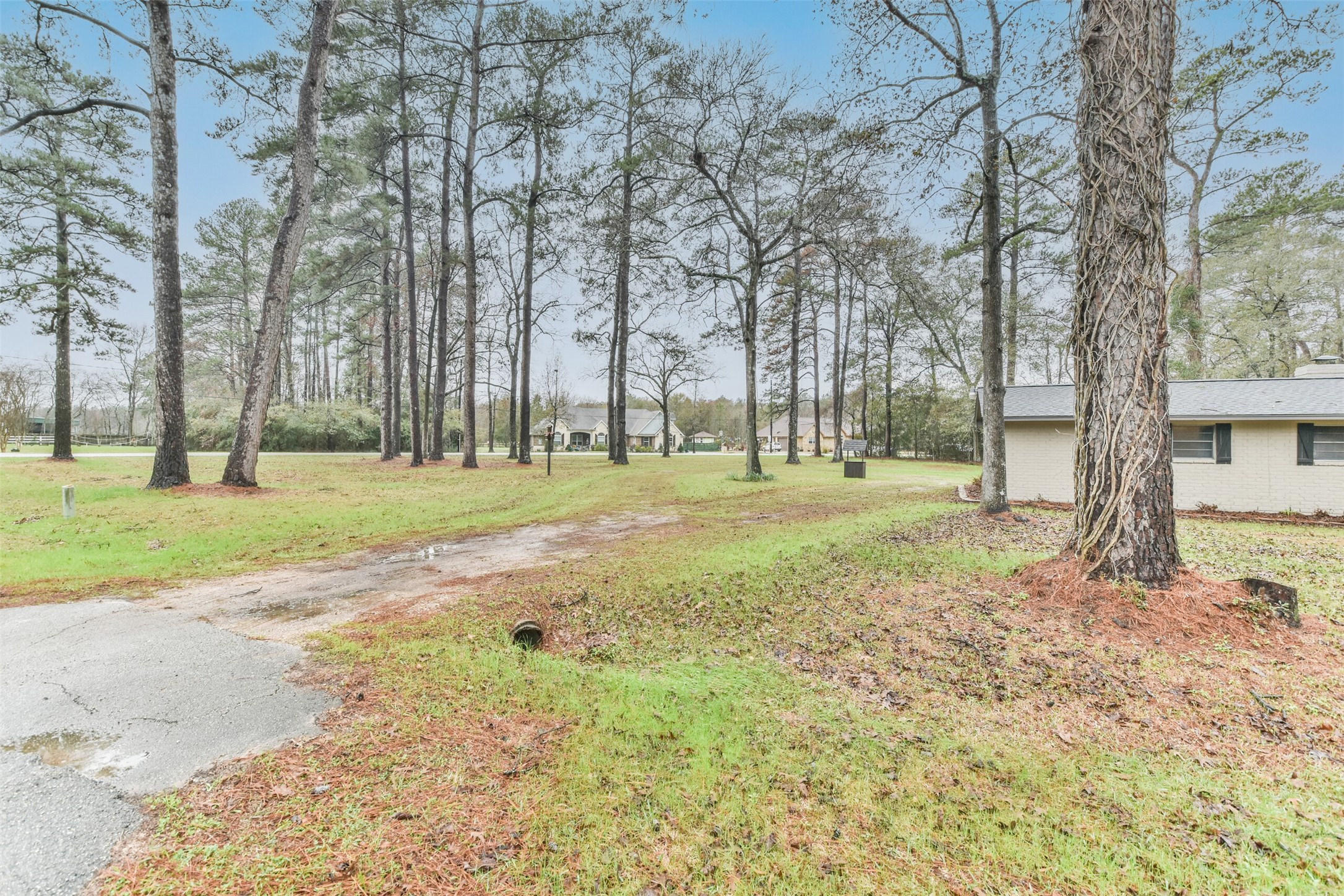 23807 Red Oak Drive Spring, TX 77389 - Photo 22 of 26 a backyard of a house with lots of green space and trees