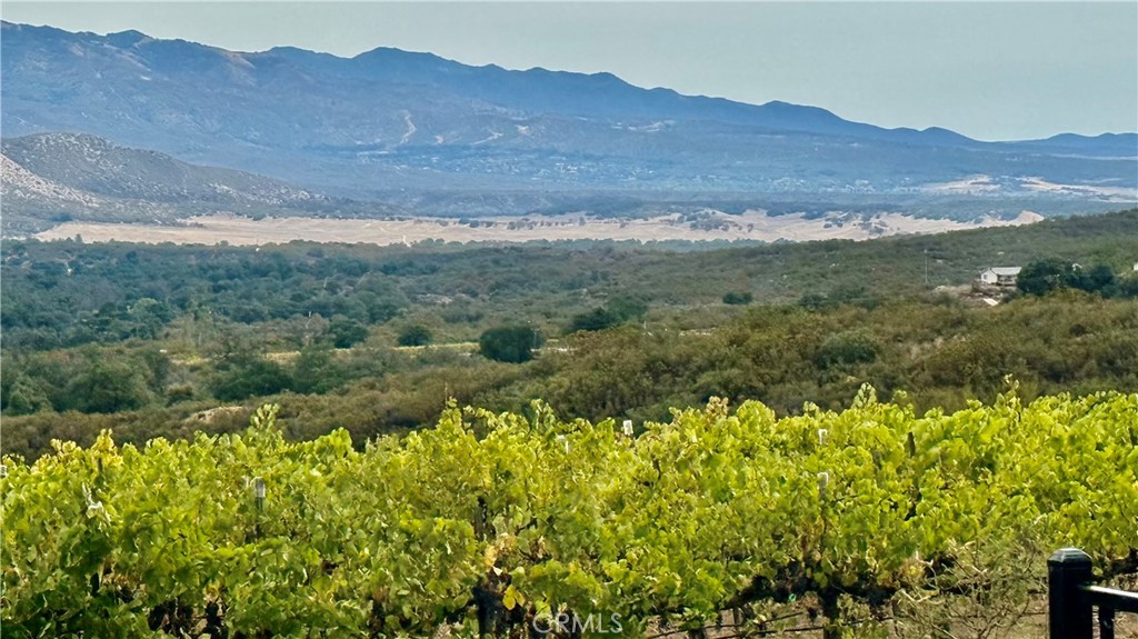 34680 Highway 79 Warner Springs, CA 92086 - Photo 48 of 64 View from back patio