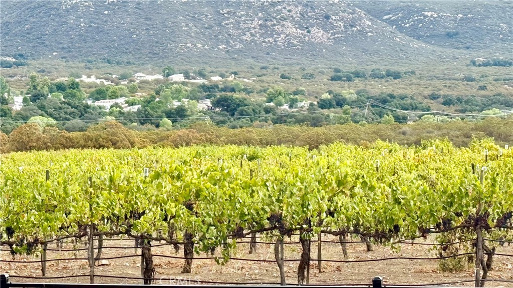 34680 Highway 79 Warner Springs, CA 92086 - Photo 50 of 64