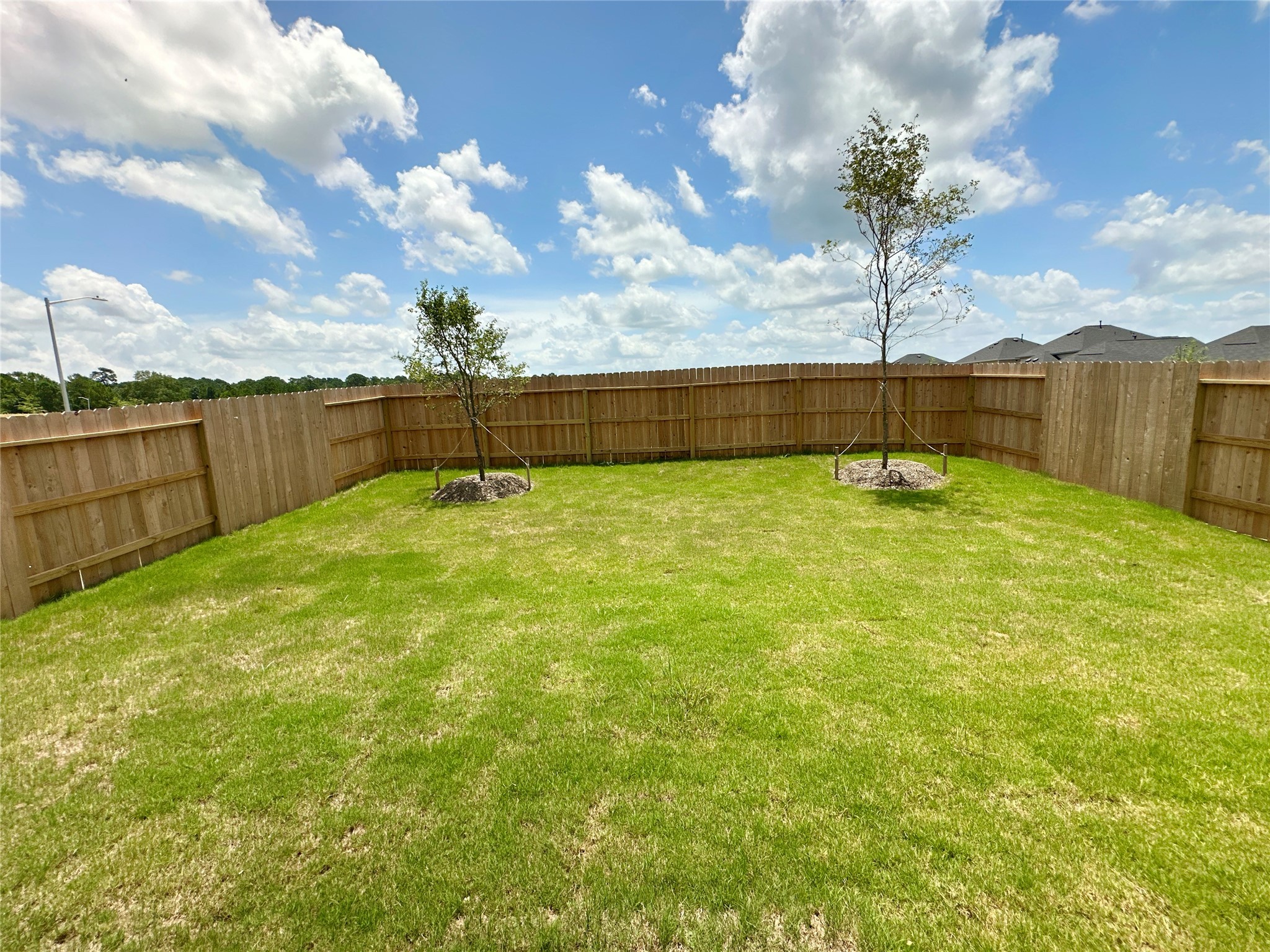 12164 Ridge Top Drive Conroe, TX 77304 - Photo 14 of 23 Perfect for a relaxing afternoon.