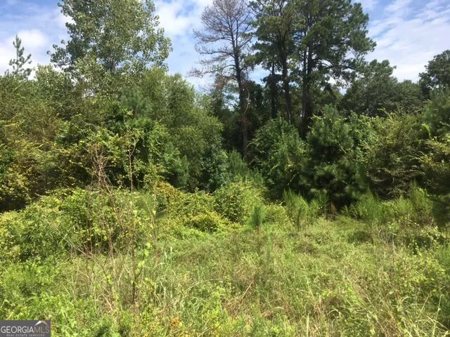 a view of a lush green space