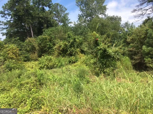 a view of a lush green forest