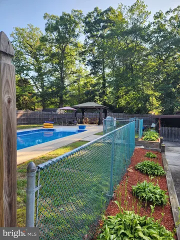a view of a garden with plants and large trees