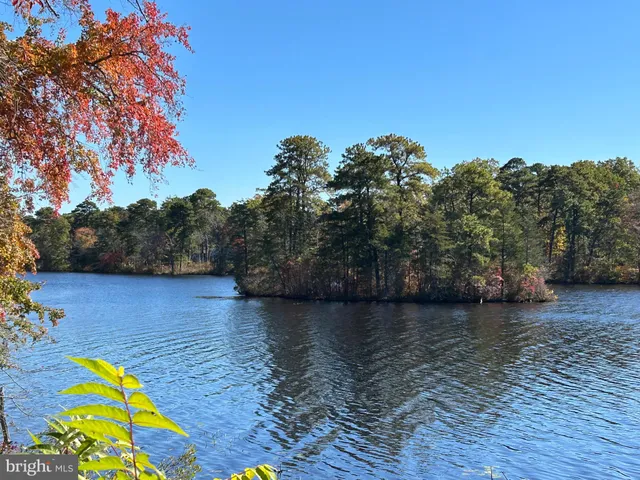 a view of a lake with a trees