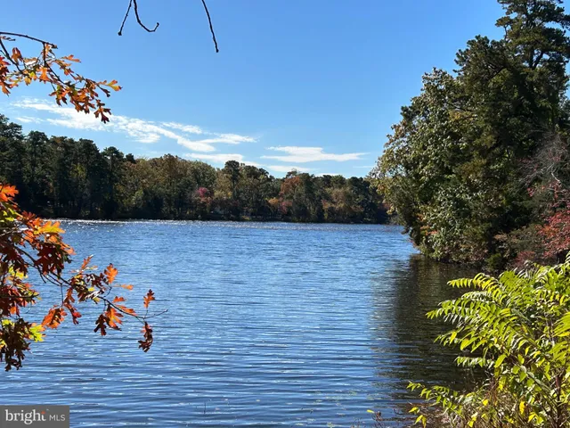 a view of a basket ball ground
