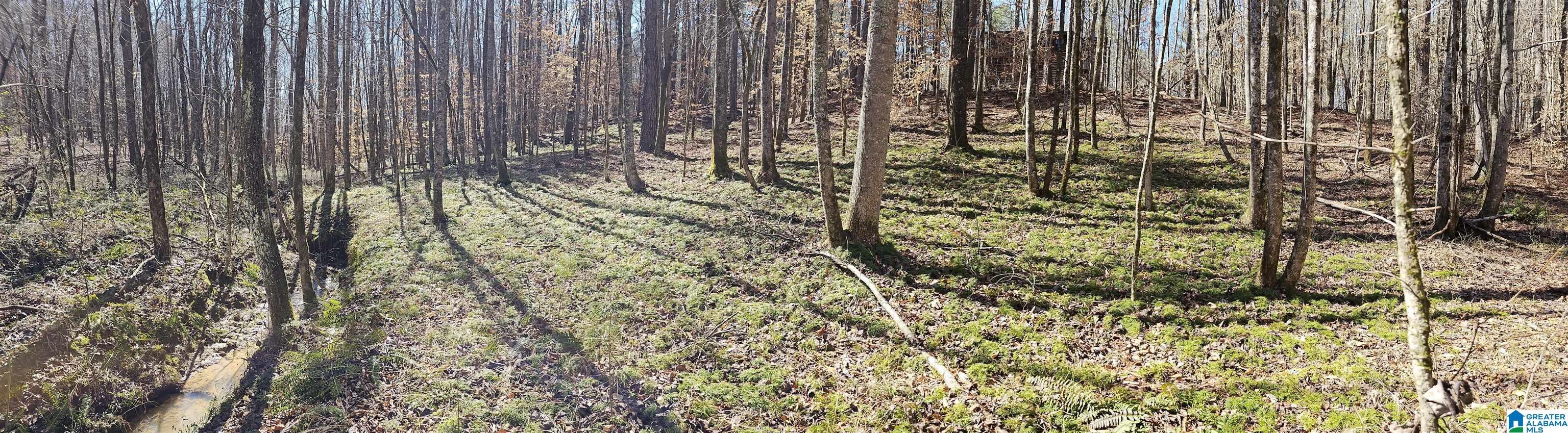 54944 Highway 49 Ashland, AL 36251 - Photo 8 of 9