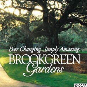 8036 Resin Road Murrells Inlet, SC 29576 - Photo 22 of 23 Gallery Image 22