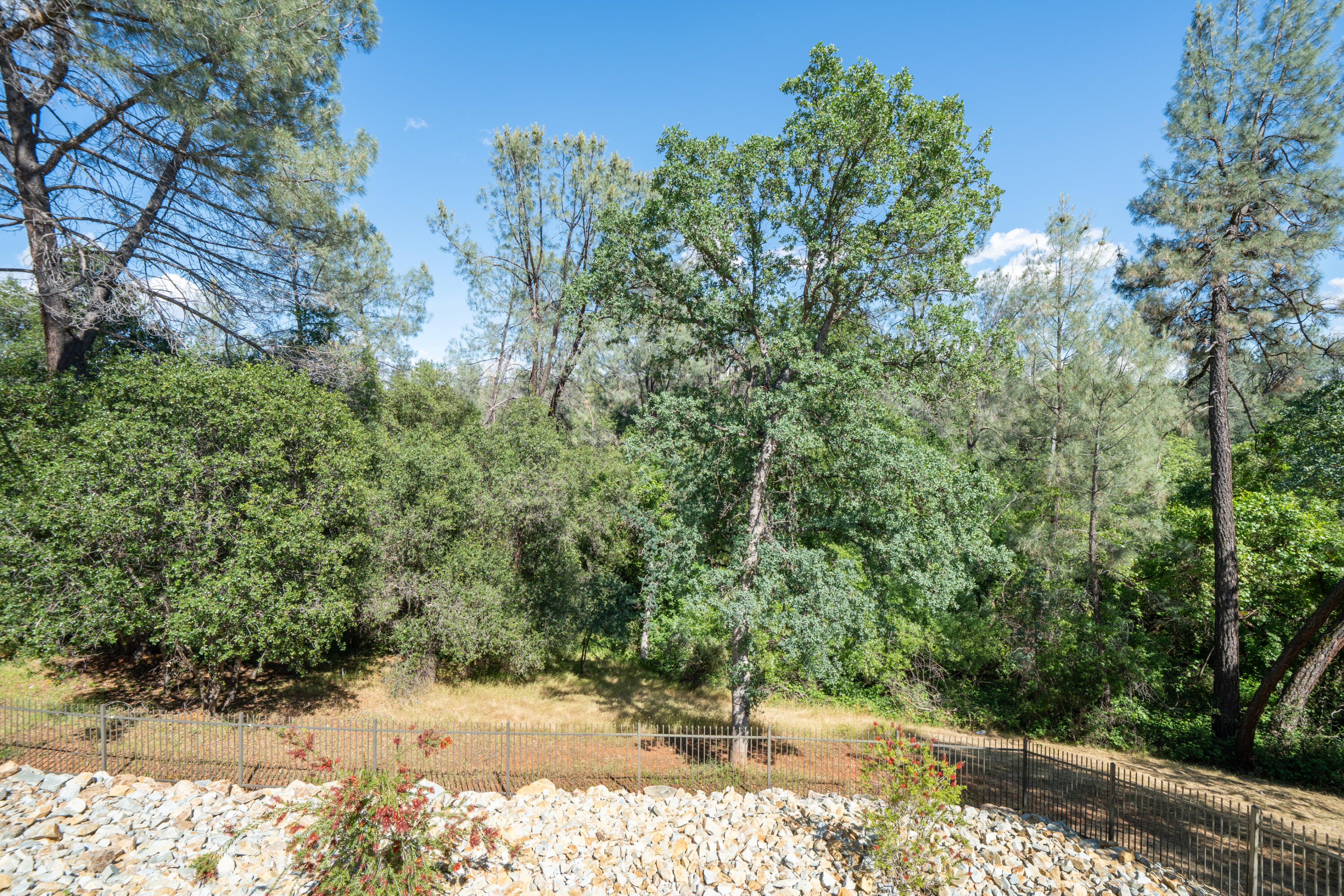 13477 Tierra Heights Road Redding, CA 96003 - Photo 60 of 92 Private Backyard