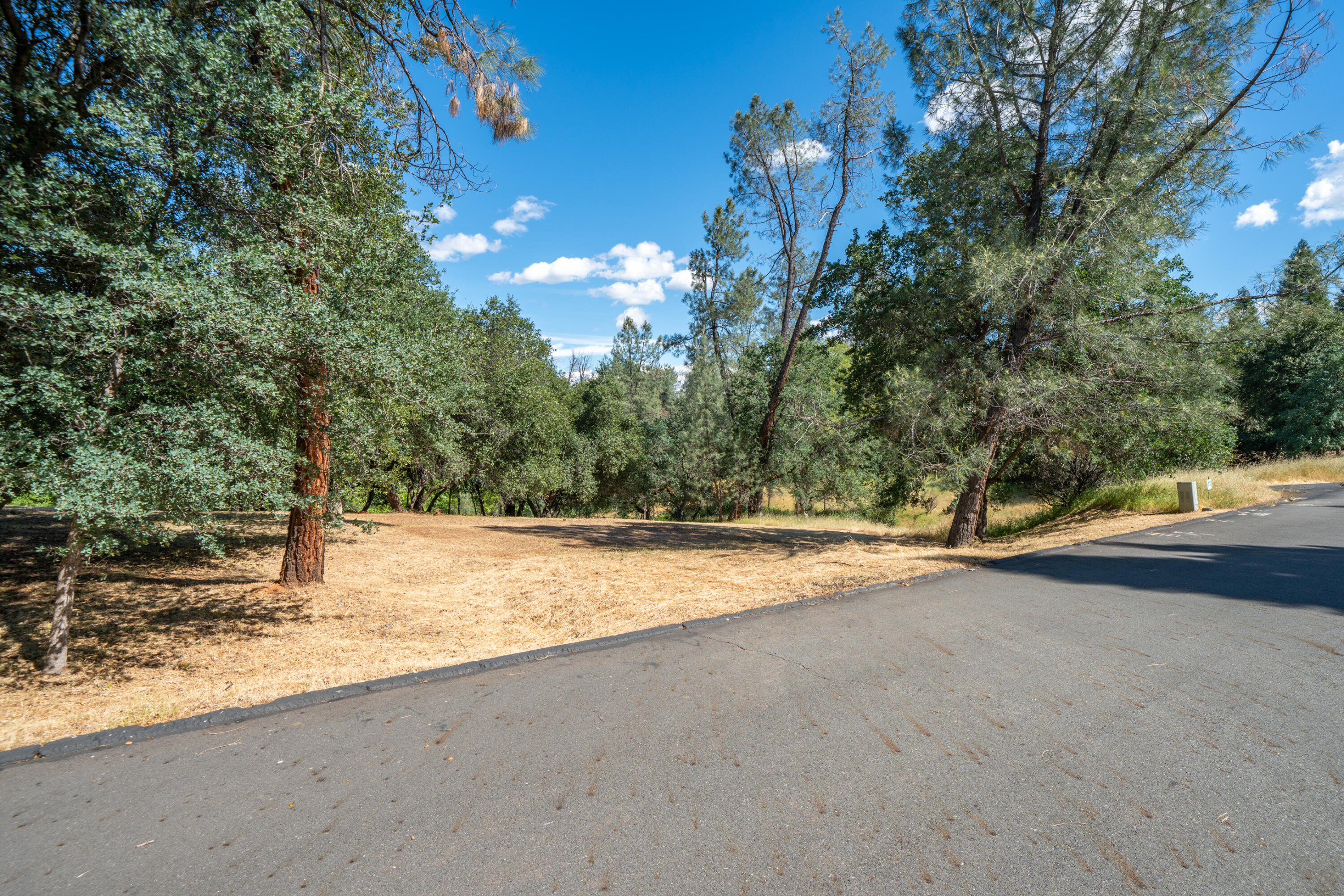 13477 Tierra Heights Road Redding, CA 96003 - Photo 62 of 92 Ample Land for Expansion