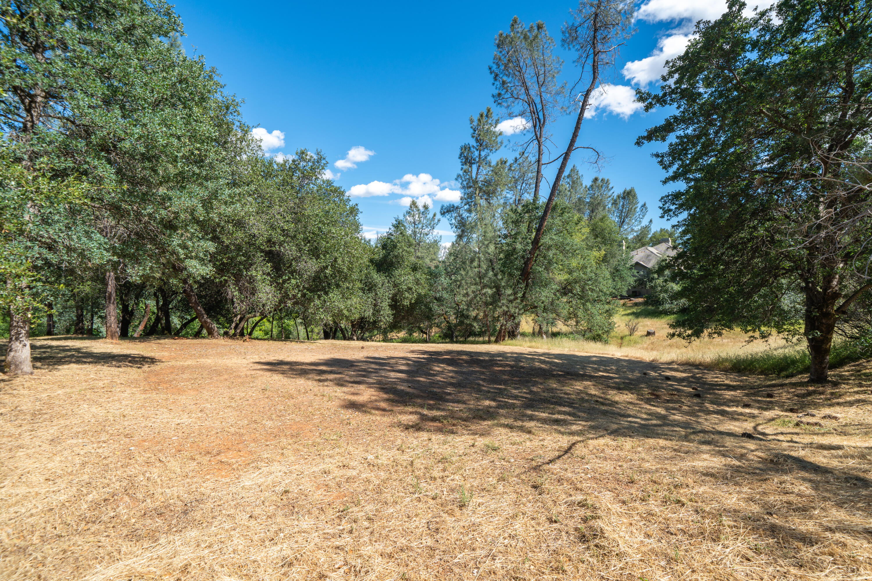 13477 Tierra Heights Road Redding, CA 96003 - Photo 64 of 92 Room for Growth