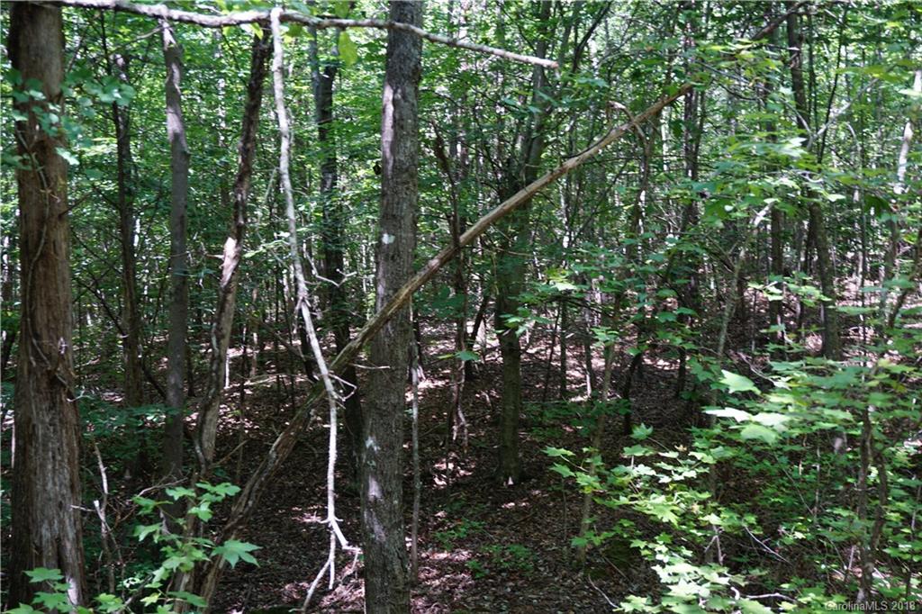 9.62-ac North Grandview Road, Unit 2 Clover, SC 29710 - Photo 2 of 17 a picture of tree