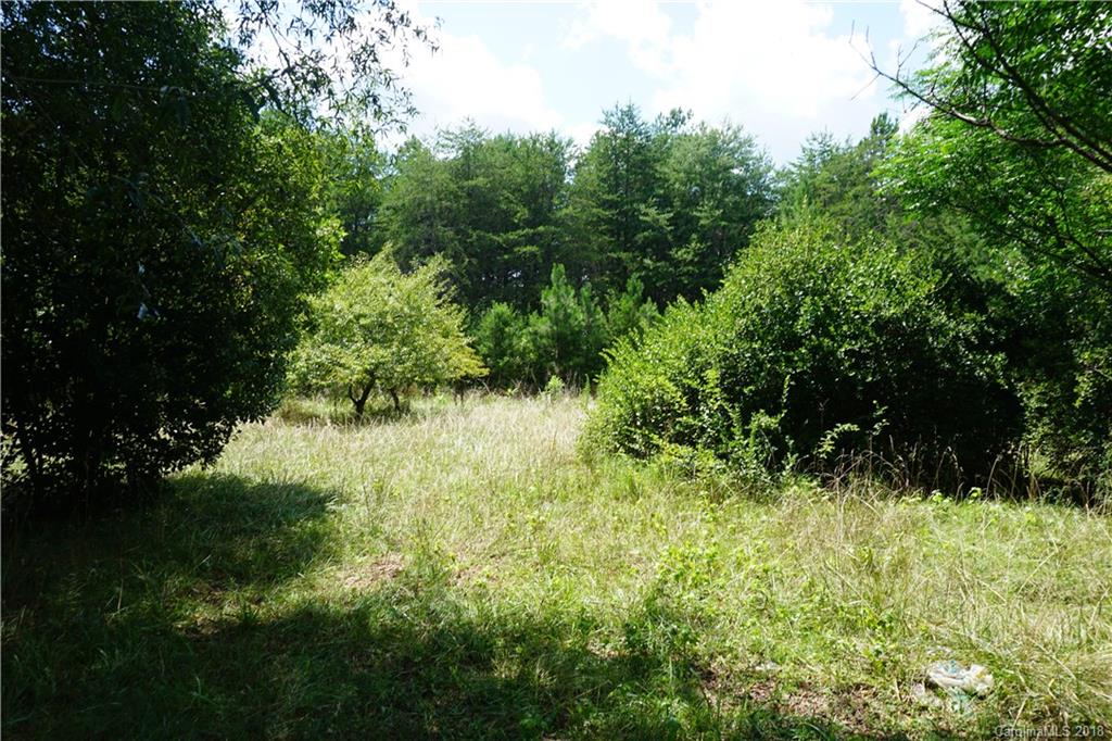 9.62-ac North Grandview Road, Unit 2 Clover, SC 29710 - Photo 12 of 17 a view of a lush green space
