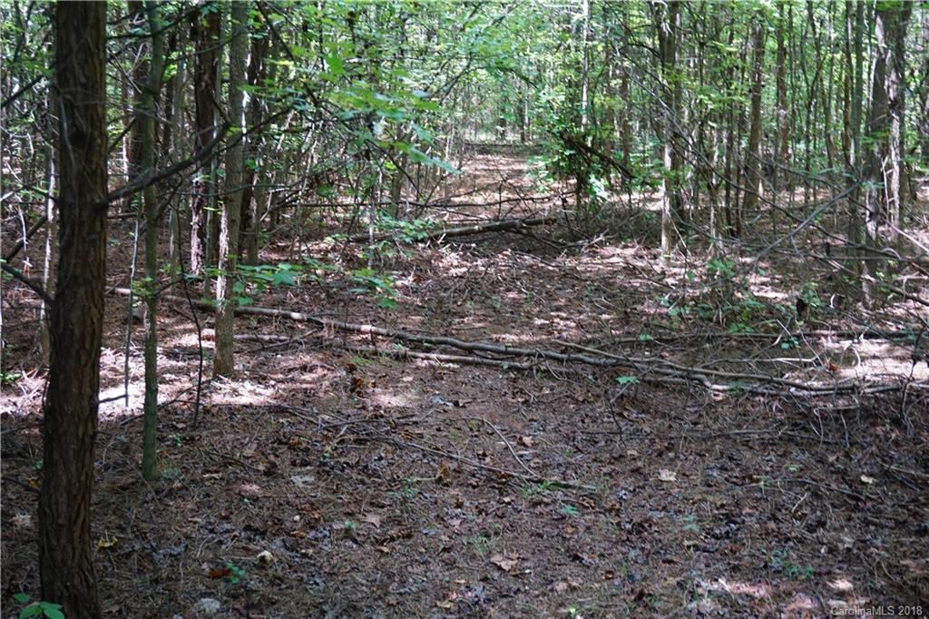 9.62-ac North Grandview Road, Unit 2 Clover, SC 29710 - Photo 13 of 17 a view of a forest
