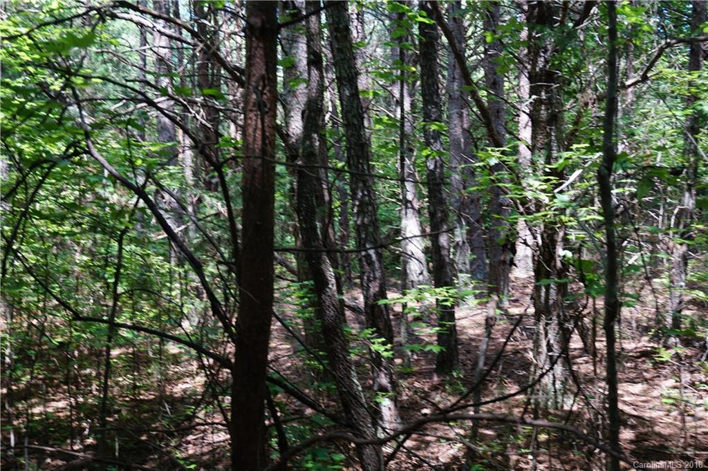 9.62-ac North Grandview Road, Unit 2 Clover, SC 29710 - Photo 14 of 17 a view of forest