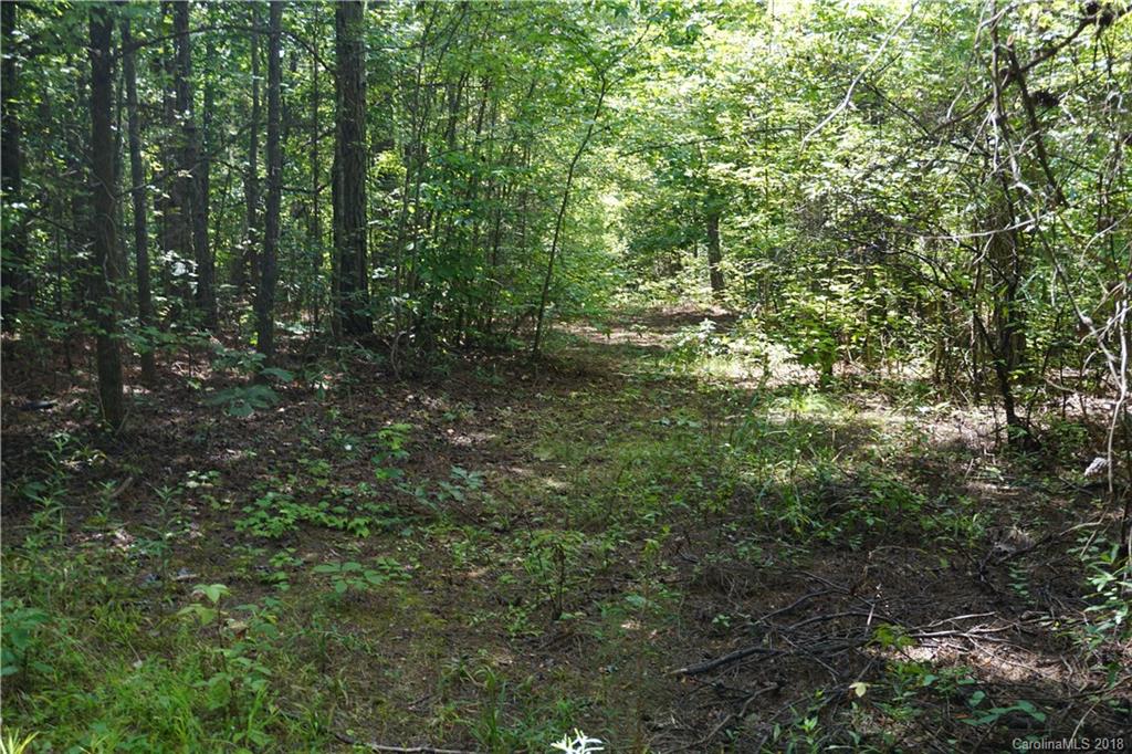 9.62-ac North Grandview Road, Unit 2 Clover, SC 29710 - Photo 16 of 17 a view of a lush green forest