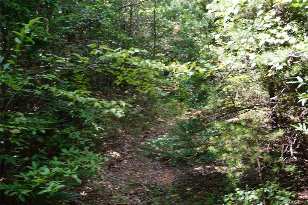 9.62-ac North Grandview Road, Unit 2 Clover, SC 29710 - Photo 17 of 17 a view of a lush green forest