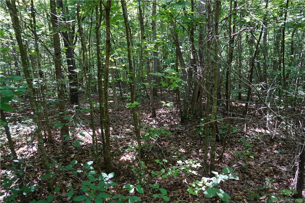 9.62-ac North Grandview Road, Unit 2 Clover, SC 29710 - Photo 3 of 17