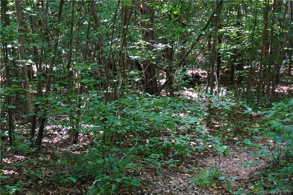 9.62-ac North Grandview Road, Unit 2 Clover, SC 29710 - Photo 4 of 17 a view of a tree