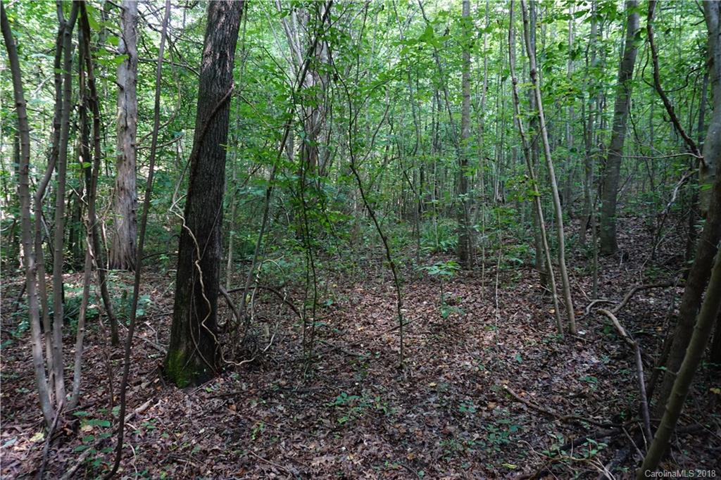 9.62-ac North Grandview Road, Unit 2 Clover, SC 29710 - Photo 9 of 17 a view of a forest with trees