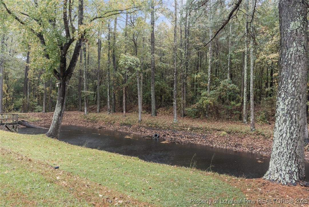 226 Red Oak Drive Spring Lake, NC 28390 - Photo 28 of 28 View of Neighbor's Pond
