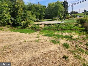 a view of a park with large trees