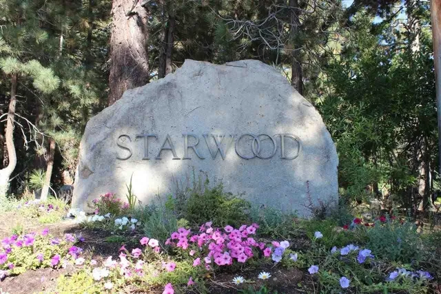 a view of a flower in a garden