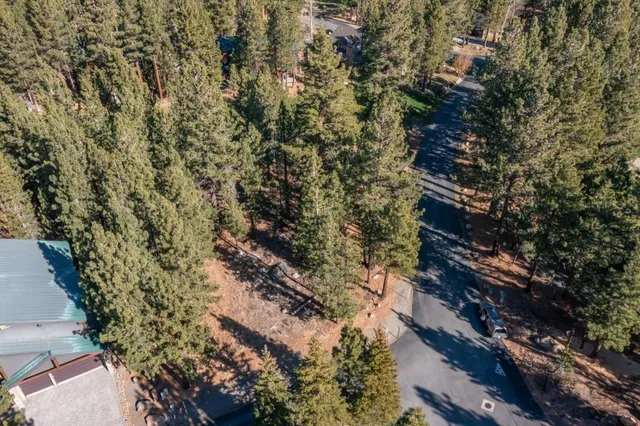a view of outdoor space with lots of trees