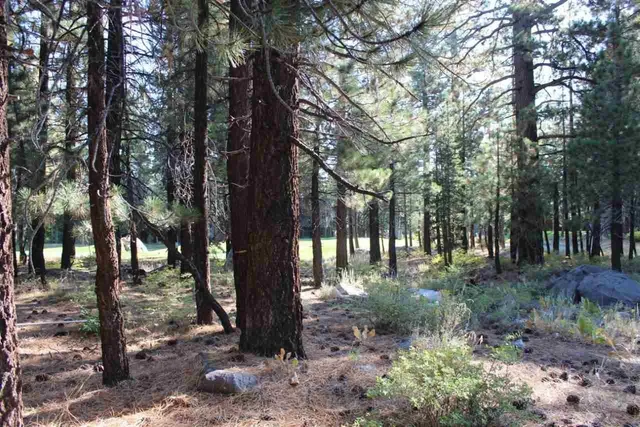 an aerial view of residential house with outdoor space