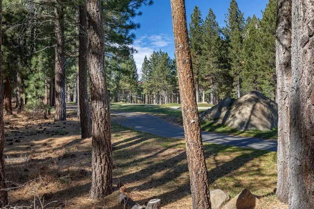 a view of outdoor space swimming pool and trees