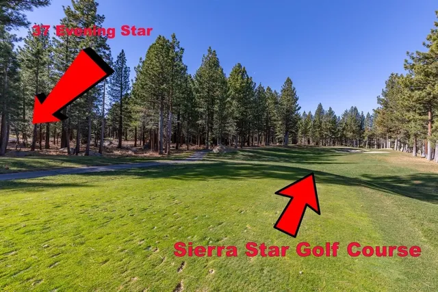 a view of swimming pool with outdoor seating and trees