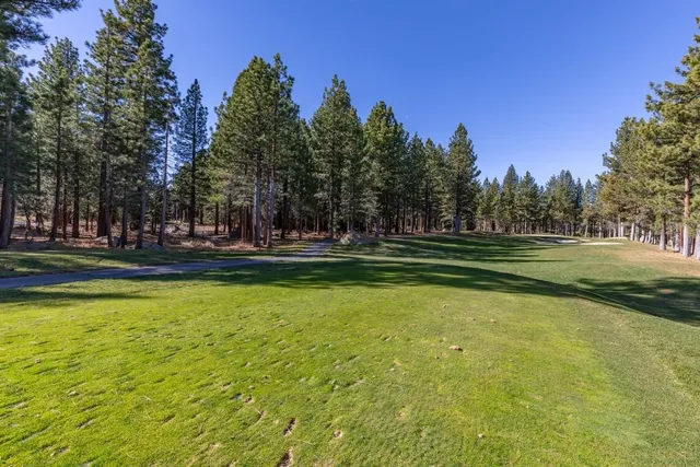 a view of a city with lush green forest
