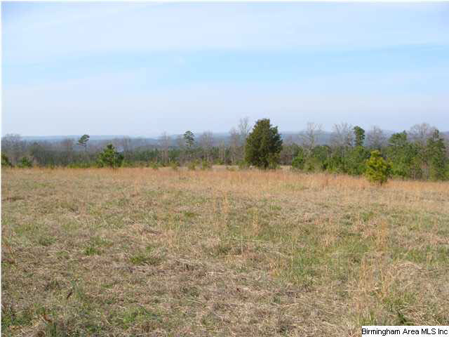 Pine Mountain Road, Unit 7 Springville, AL 35146 - Photo 7 of 11 Gallery Image 7