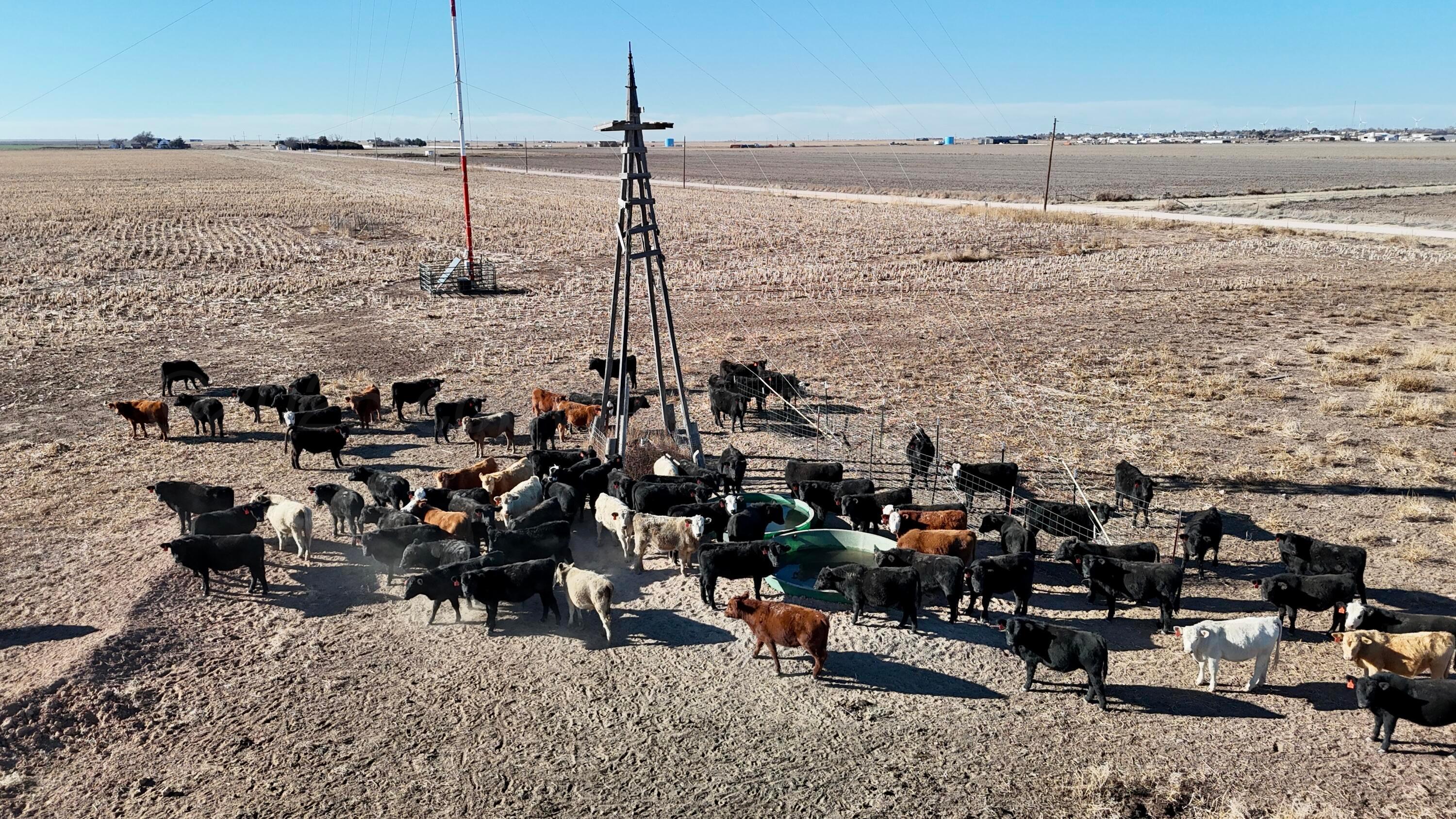 5300 Sh-207 Claude, TX 79019 - Photo 5 of 14 a view of ocean view