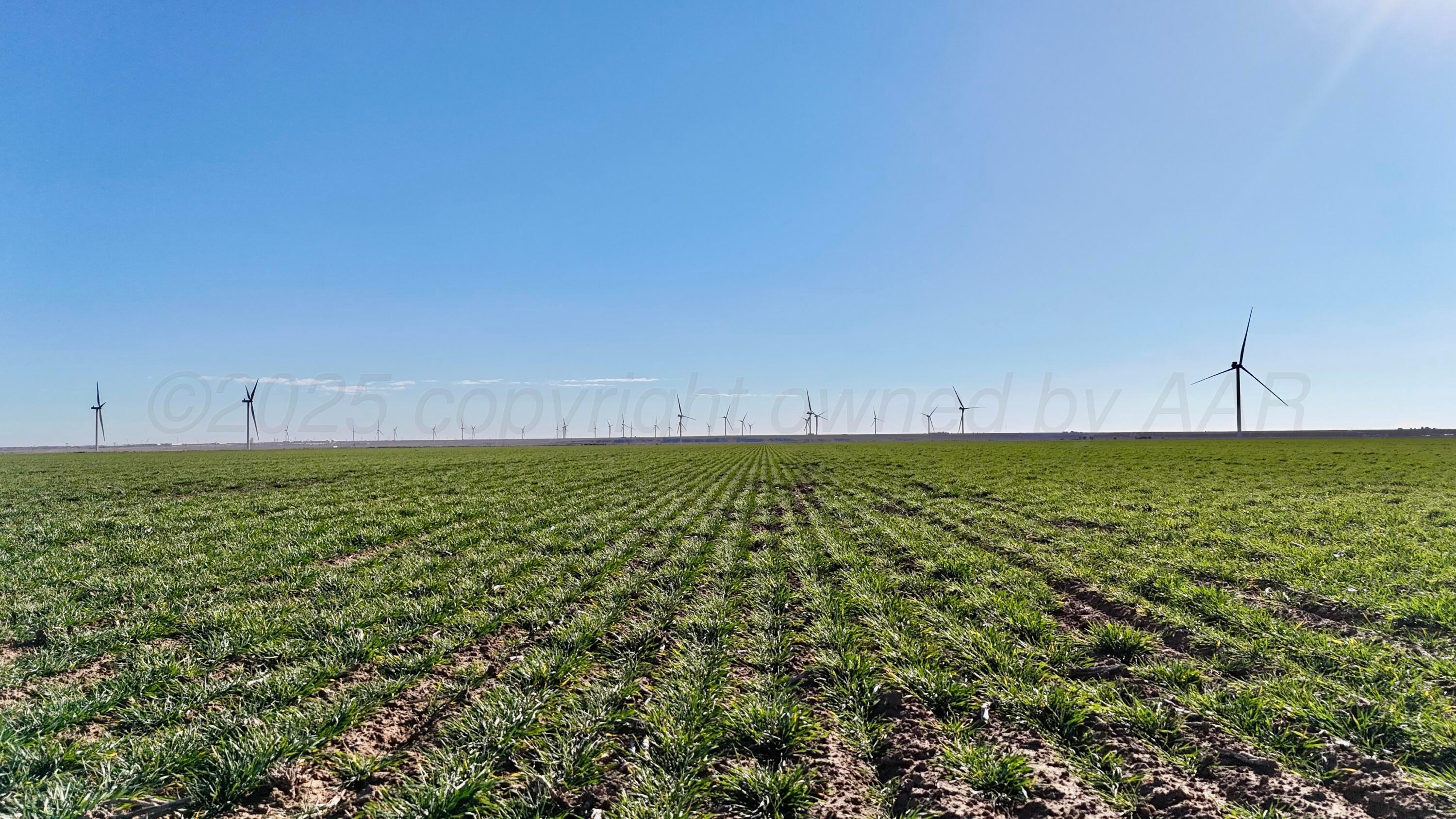 5300 Sh-207 Claude, TX 79019 - Photo 6 of 14 a view of a green field
