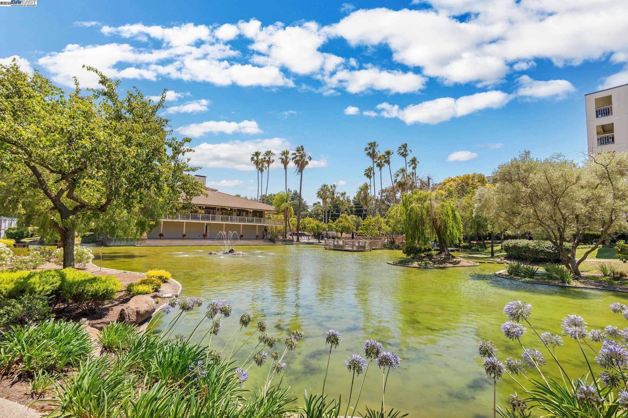300 North Civic Drive, Unit 403 Walnut Creek, CA 94596 - Photo 12 of 19 a view of an ocean house a swimming pool and outdoor space
