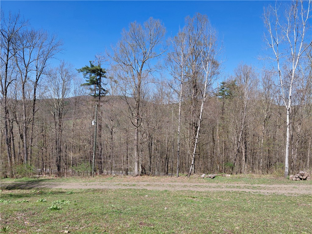2930 Blue School Road Franklin, NY 13775 - Photo 14 of 20