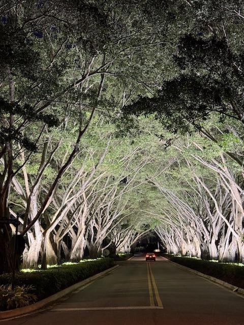 8216 Cypress Point Road West Palm Beach, FL 33412 - Photo 61 of 62 Gorgeous Tree Lined Community Entrance