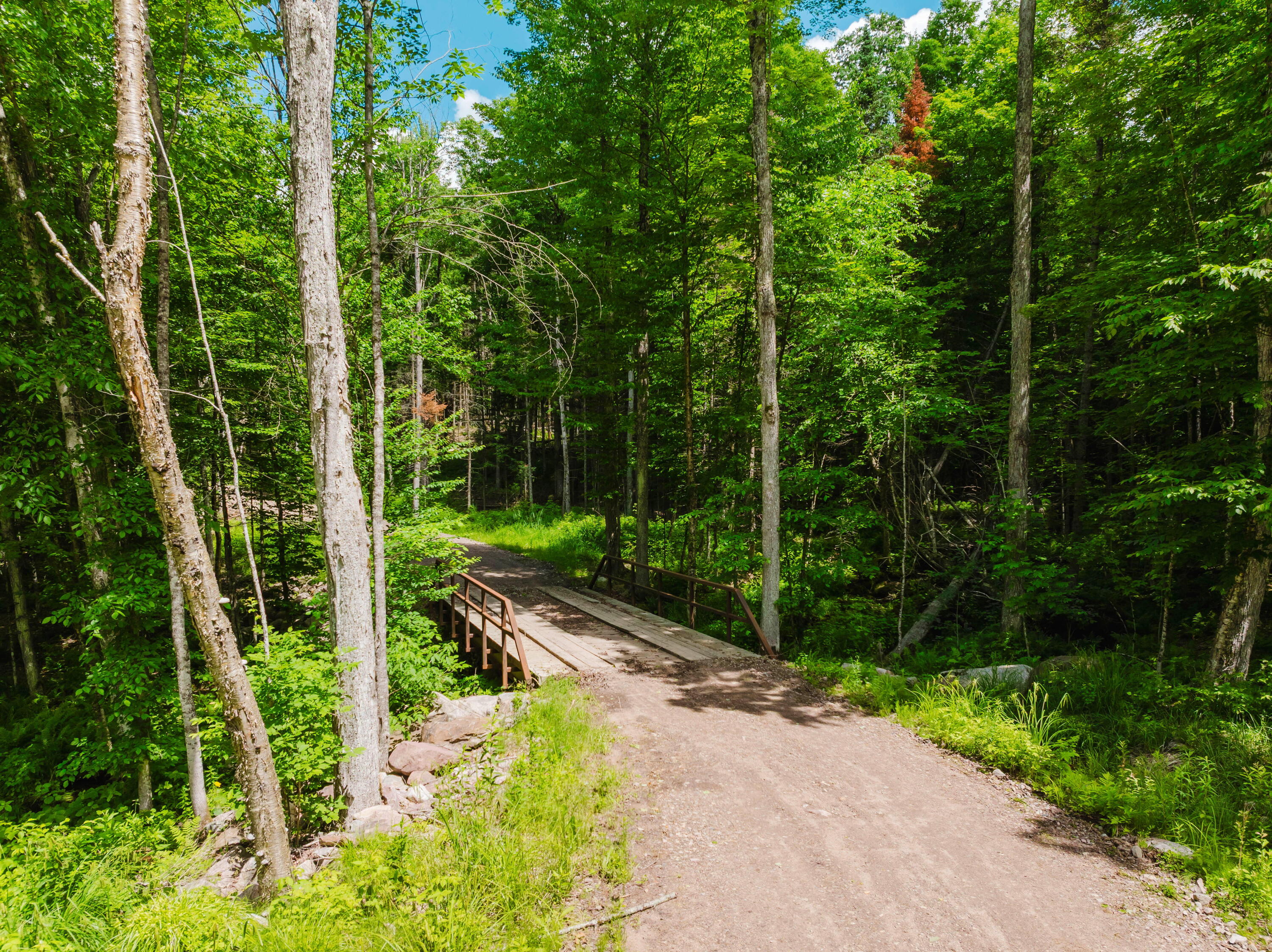 733 Ore Bed Road Black Brook, NY 12912 - Photo 2 of 38