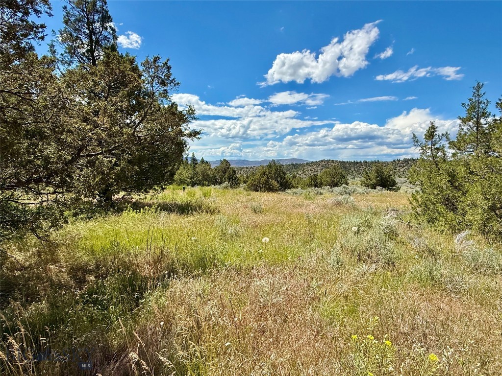 Lot 290 Broken Creek Road Three Forks, MT 59752 - Photo 6 of 22 Gallery Image 6