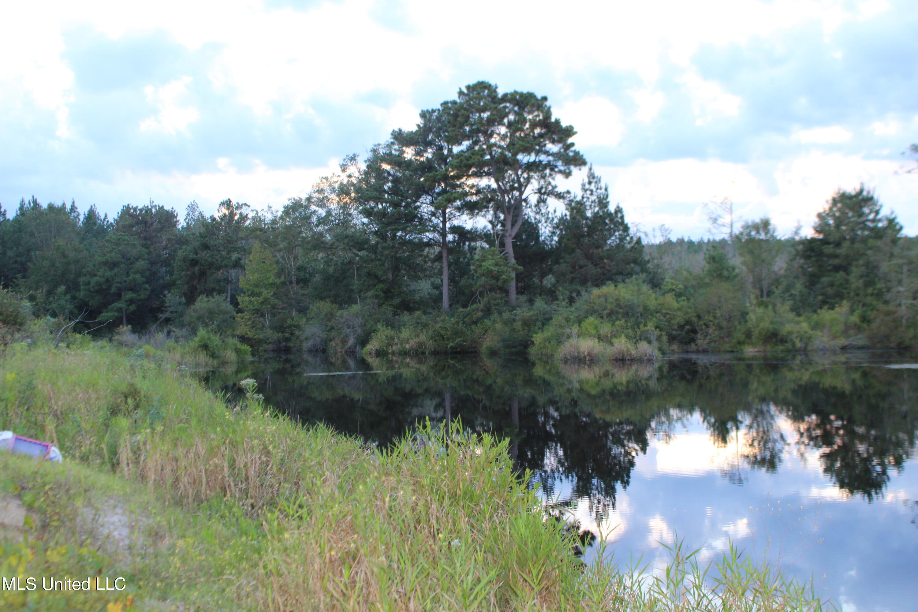 Thompson Hill Road McLain, MS 39456 - Photo 1 of 8 IMG_4390