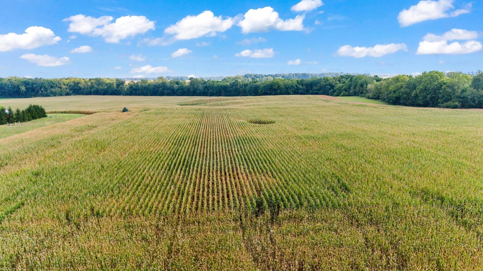 9534 Covington-Gettysburg Road Covington, OH 45318 - Photo 5 of 9 DJI_20260909170555_0049_D_under20mb