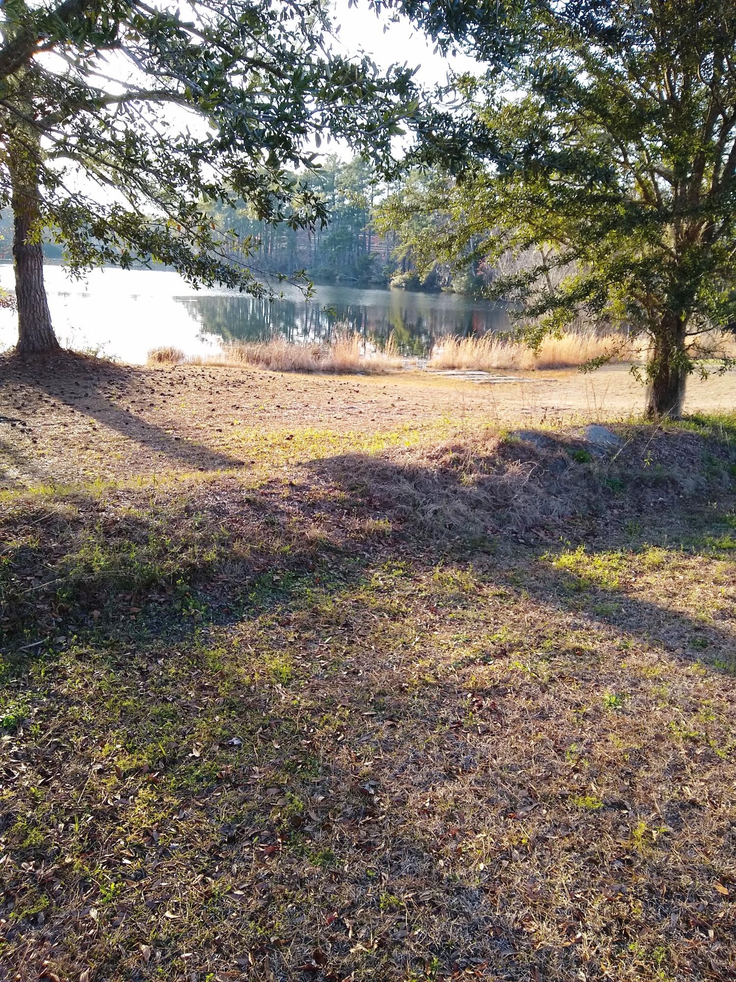 3121 South S Highway Ridgeville, SC 29472 - Photo 9 of 18 IMG_20210309_173327374