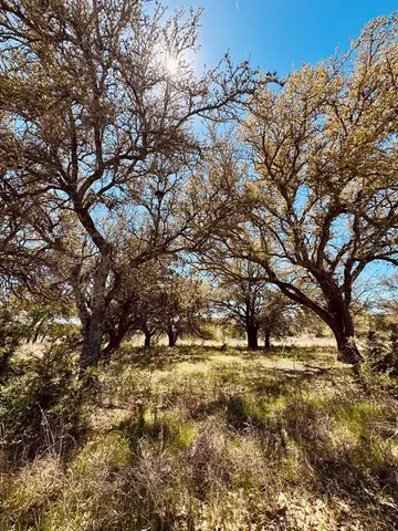 a view of outdoor space with a tree