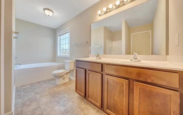 a bathroom with a toilet and a bath tub