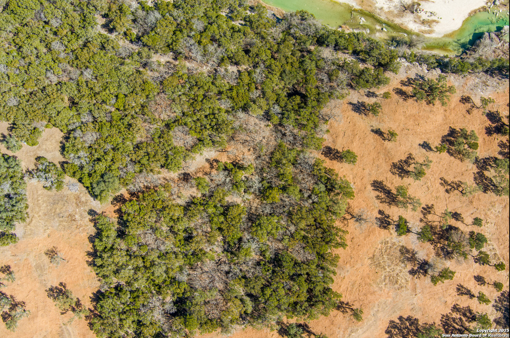 1246 Clearwater Canyon Road Bandera, TX 78003 - Photo 2 of 27 a view of a tree with a yard