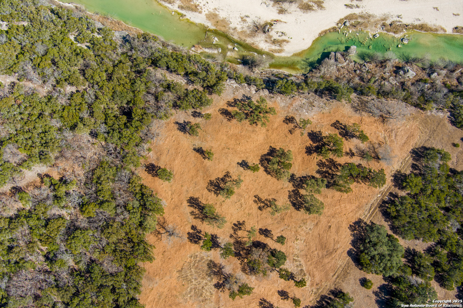 1246 Clearwater Canyon Road Bandera, TX 78003 - Photo 3 of 27 a view of a forest with trees