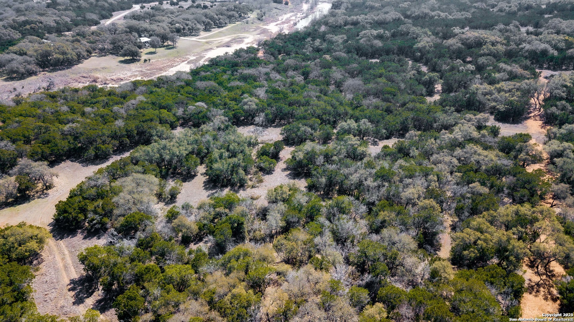 1246 Clearwater Canyon Road Bandera, TX 78003 - Photo 7 of 27 a view of a forest with a tree