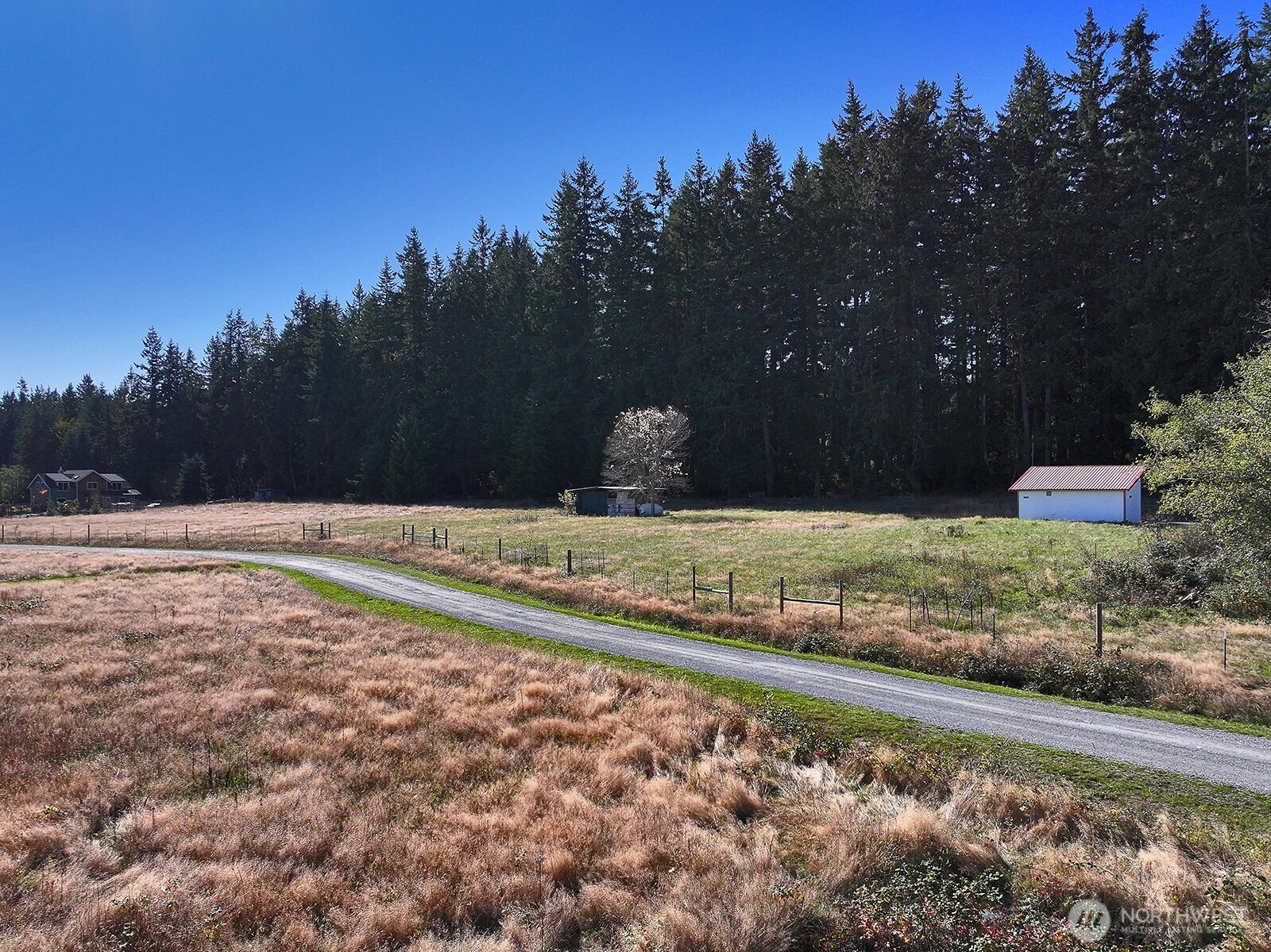 7110 Olin Place Clinton, WA 98236 - Photo 11 of 12 a view of swimming pool with a yard