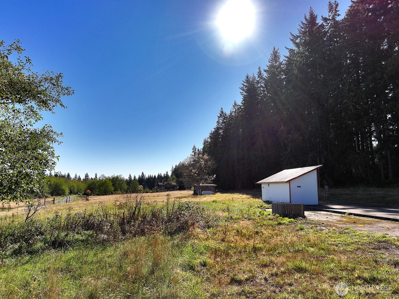 7110 Olin Place Clinton, WA 98236 - Photo 12 of 12 a backyard of a house with lots of green space and lake view