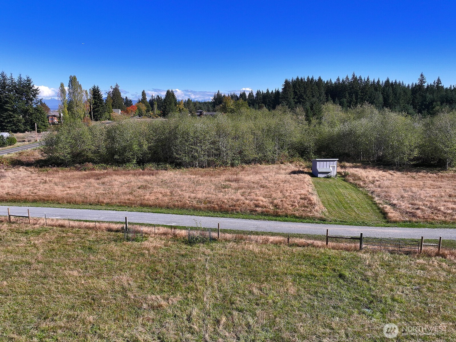 7110 Olin Place Clinton, WA 98236 - Photo 10 of 12 a view of a back yard of a house